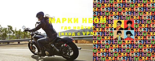 прущие грибы Богданович