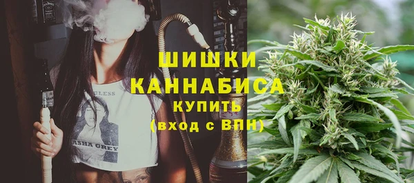 кокс Богородицк