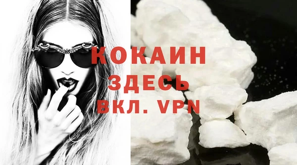 прущие грибы Богданович