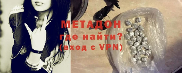 прущие грибы Богданович